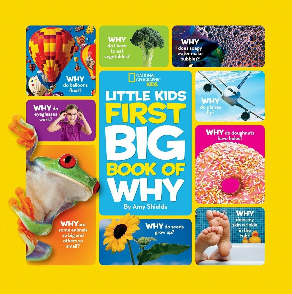 NG Little Kids First Big Book of Why