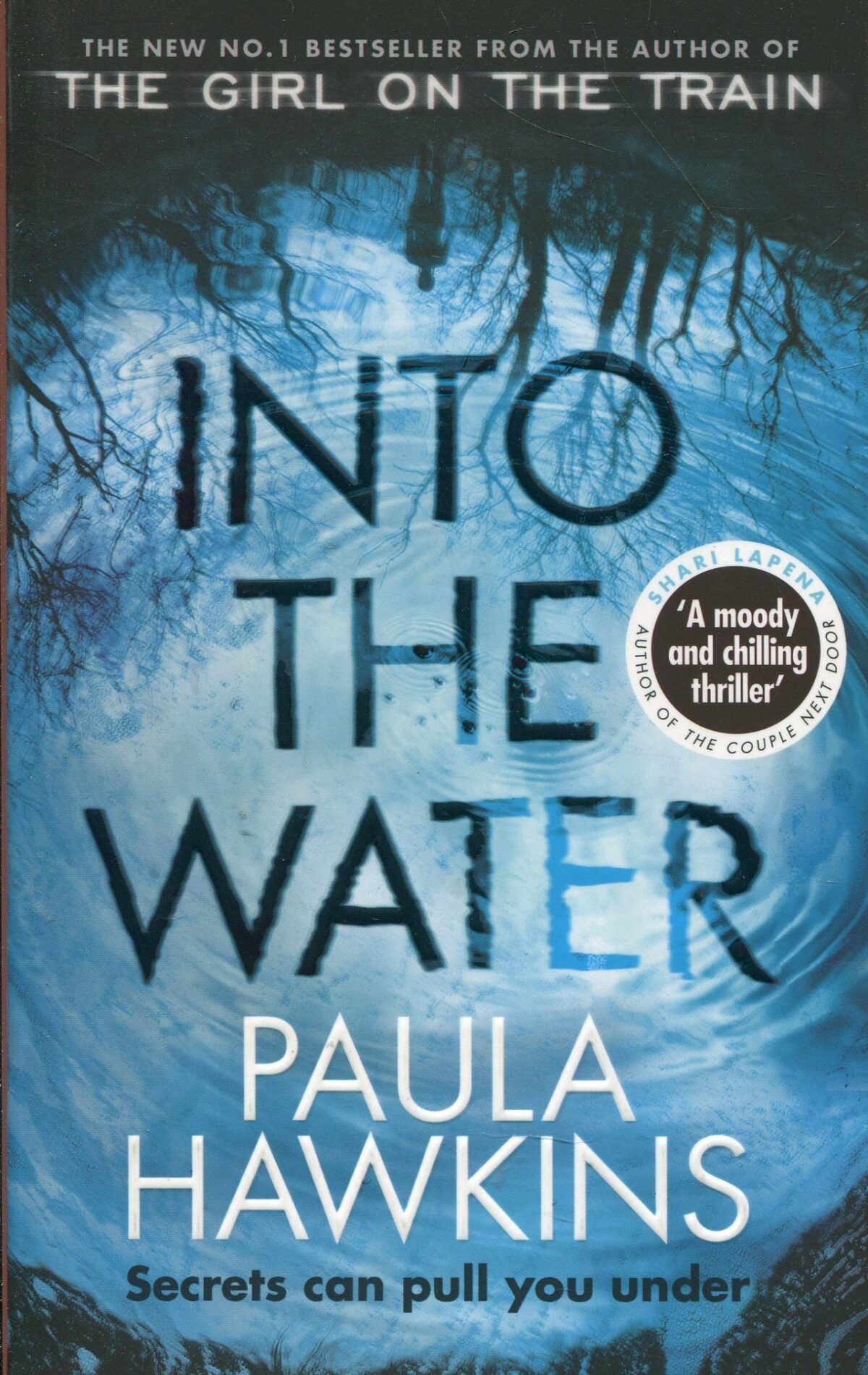 Into the Water