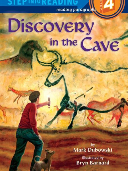 Discovery In The Cave